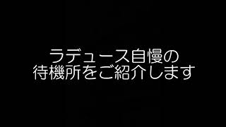 チラ見せします