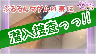 快適広々♪ぷるるんマダムの寮ツアー！