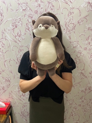 ケイ