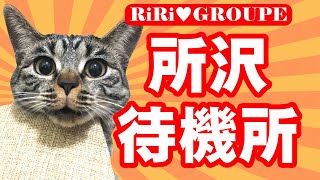 所沢事務所をご紹介♪