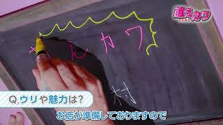 集客力に自信があるから未経験者も活躍！