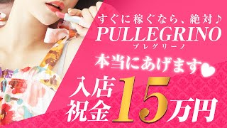 プレグリーノ【待遇について】