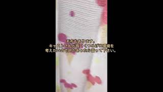 千葉旭ちゃんこ待機所風景です。