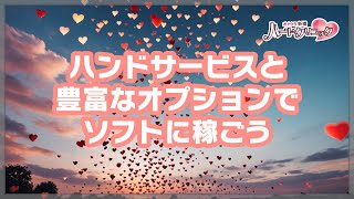 ハンドサービスとオプションでソフトに稼ぐ